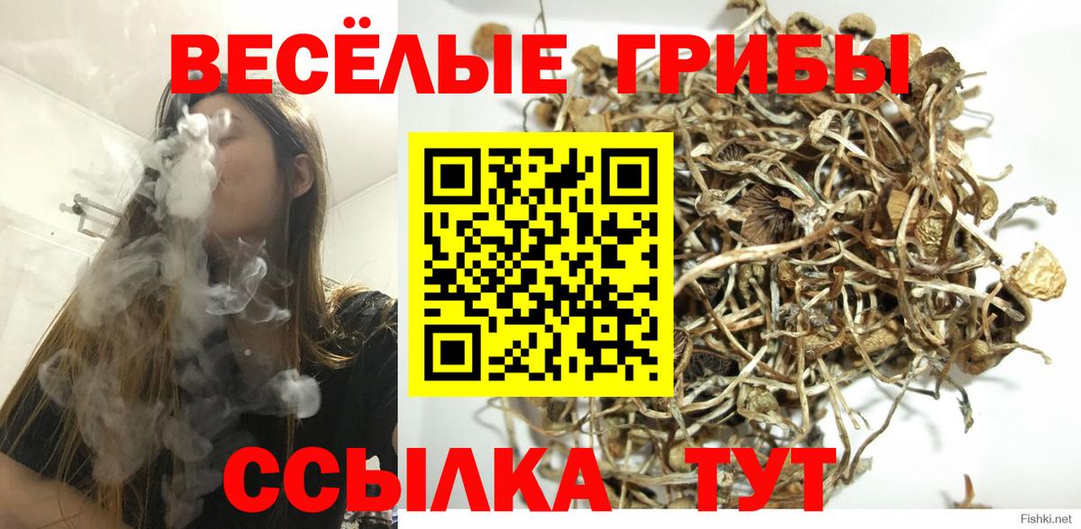 Галлюциногенные грибы Psilocybe  Вход с VPN  Трёхгорный  Псилоцибиновые грибы ЛСД 